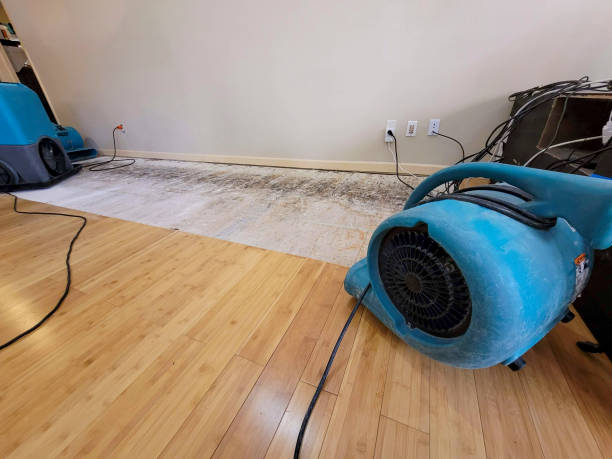 Professional Water Removal technician working in Garland, TX